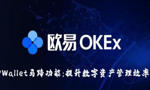 全面解析TPWallet马蹄功能：提升数字资产管理效率的绝佳选择