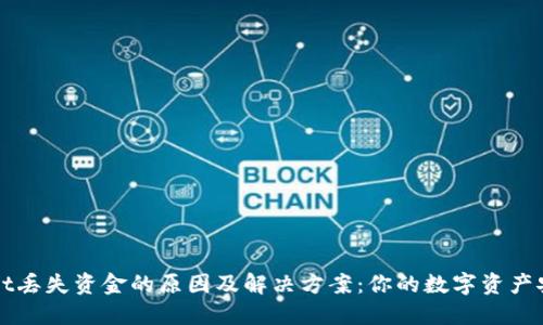 TPWallet丢失资金的原因及解决方案：你的数字资产安全指南
