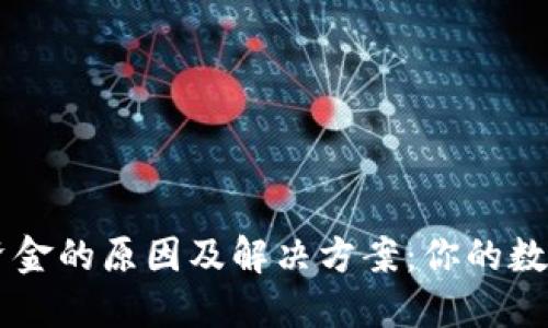 TPWallet丢失资金的原因及解决方案：你的数字资产安全指南