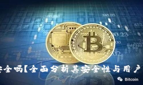 BitPay安全吗？全面分析其安全性与用户保护措施