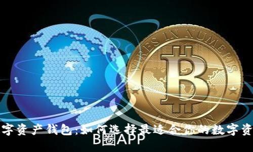 全球最大数字资产钱包：如何选择最适合你的数字资产管理工具