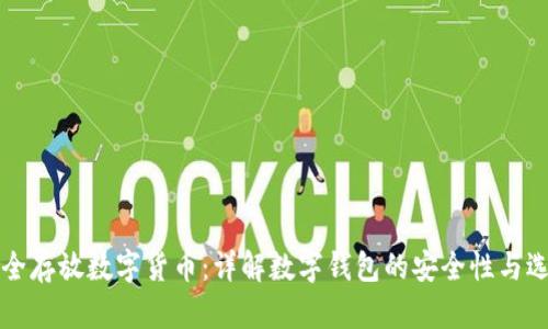 如何安全存放数字货币：详解数字钱包的安全性与选择指南
