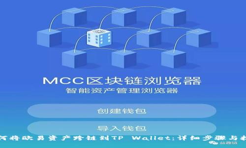 如何将欧易资产跨链到TP Wallet：详细步骤与技巧