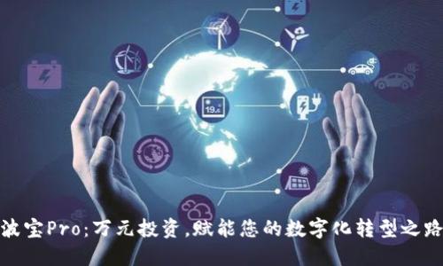 波宝Pro：万元投资，赋能您的数字化转型之路