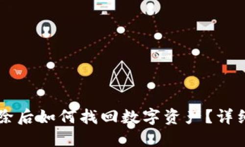 TPWallet删除后如何找回数字资产？详细步骤和技巧