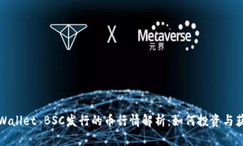 TPWallet BSC发行的币行情解析：如何投资与获利