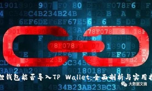 狐狸钱包能否导入TP Wallet：全面剖析与实用指南