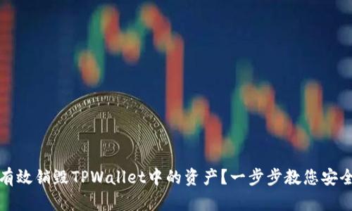 如何有效销毁TPWallet中的资产？一步步教您安全操作