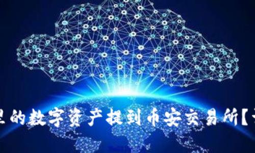 如何将TP钱包里的数字资产提到币安交易所？详细指南与技巧