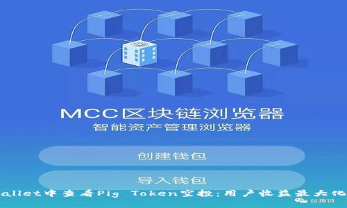如何在TPWallet中查看Pig Token空投：用户收益最大化的实用指南