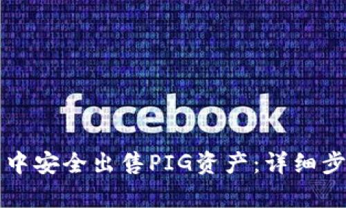 如何在TP钱包中安全出售PIG资产：详细步骤与收益分析