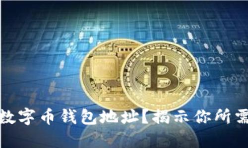 如何轻松查询数字币钱包地址？揭示你所需的工具和策略