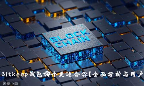 TP钱包与BitKeep钱包哪个更适合你？全面分析与用户价值对比