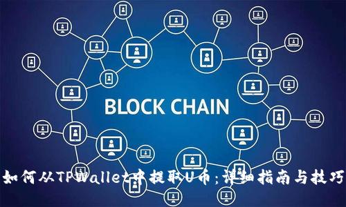如何从TPWallet中提取U币：详细指南与技巧